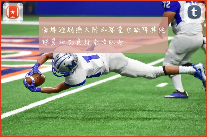 黄蜂迎战热火附加赛霍尔缺阵其他球员状态良好全力以赴