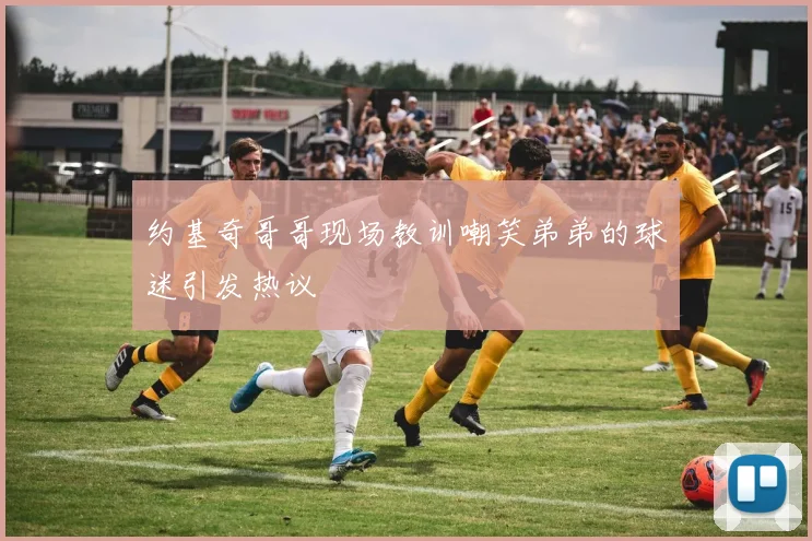 约基奇哥哥现场教训嘲笑弟弟的球迷引发热议